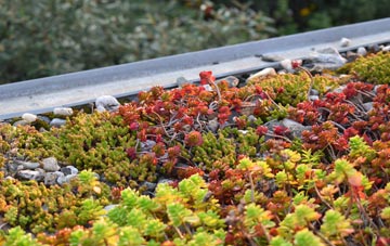 the cost of Thanington green roof installation