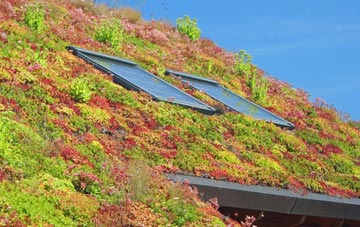 Thanington living roof systems